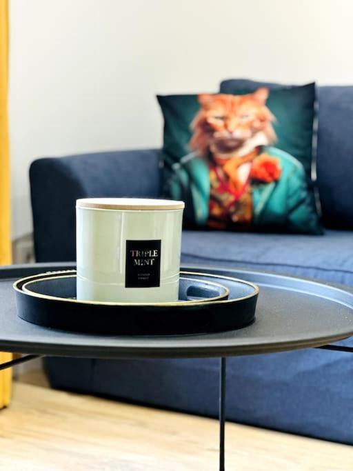 Jungle Appartement Avec Terrasse Laon Zewnętrze zdjęcie